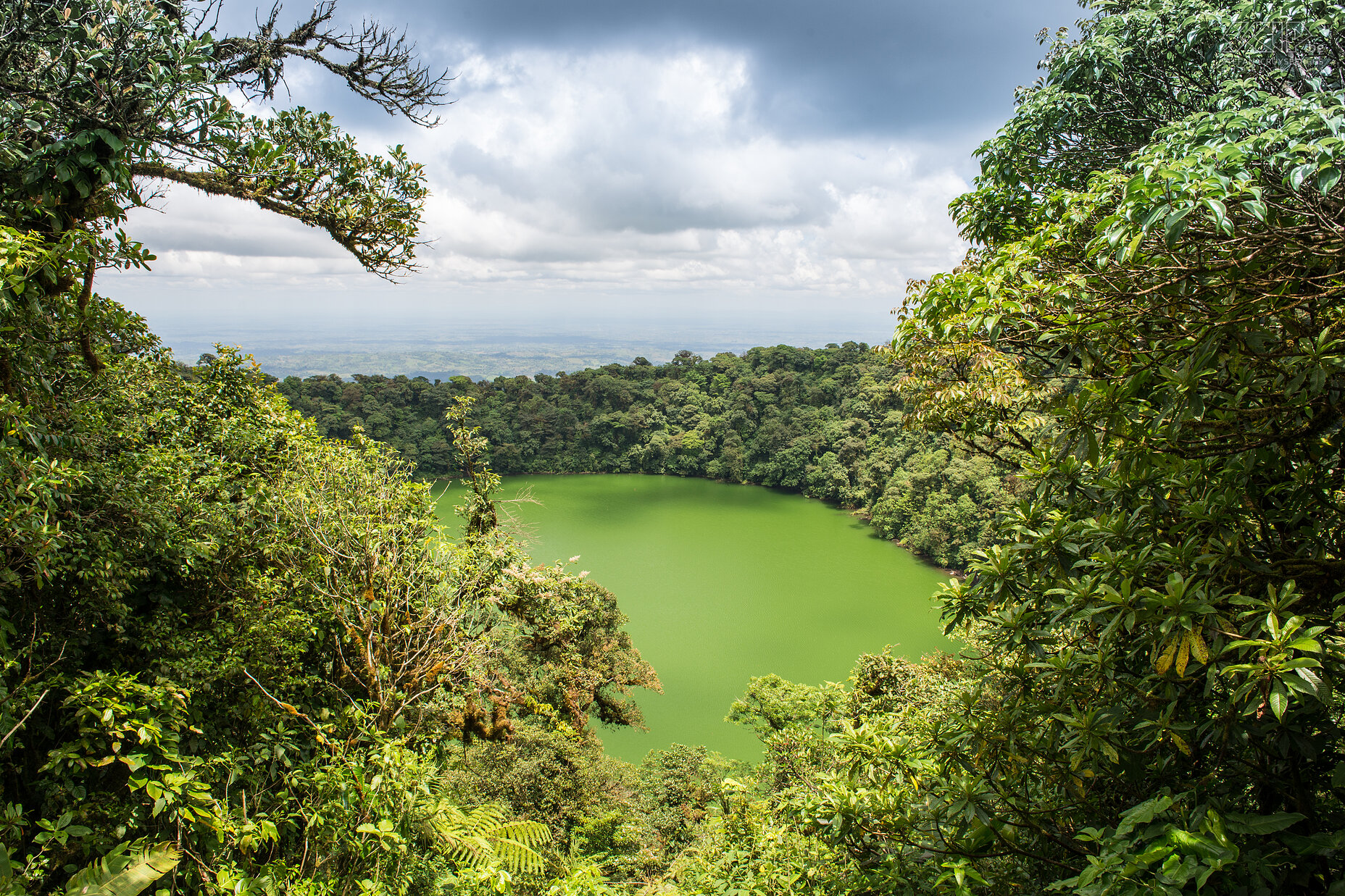 Arenal - Cerro Chato The green Laguna Cerro Chato is an old volcano crater nearby the Arenal volcano. We hiked to the top of this volcano. Stefan Cruysberghs